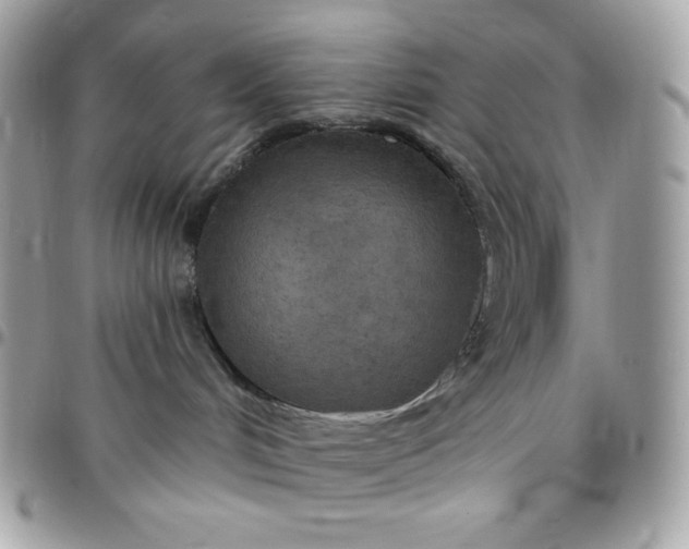 X0000097750048200803211702