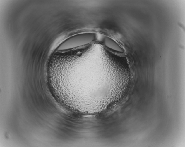 X0000097750053200803211701