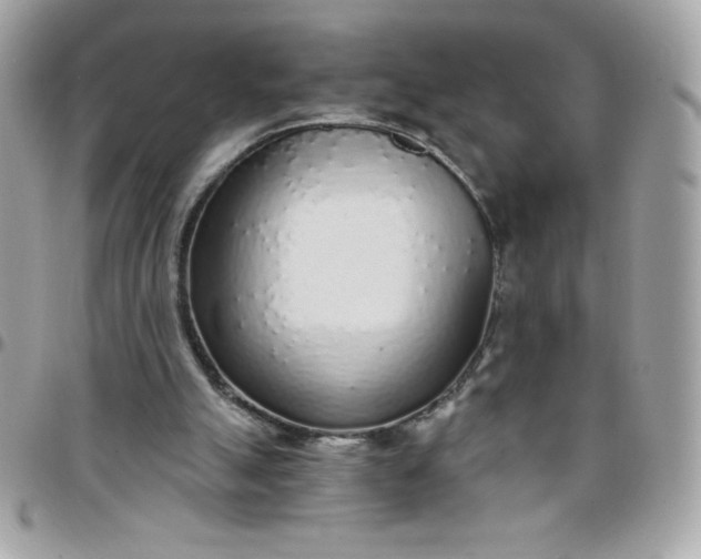 X0000097750055200803211701