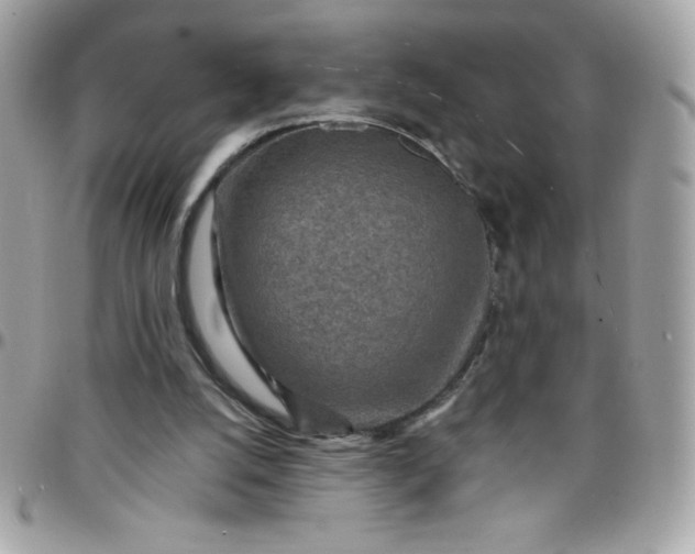 X0000097750056200803211701