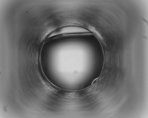 X0000097750058200803211701