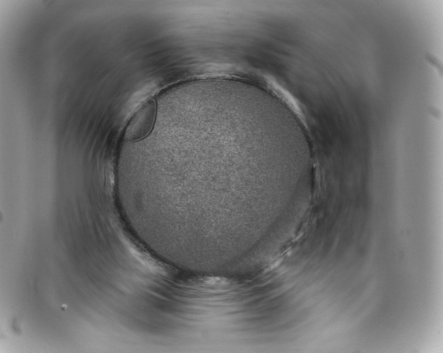 X0000097750059200803211701