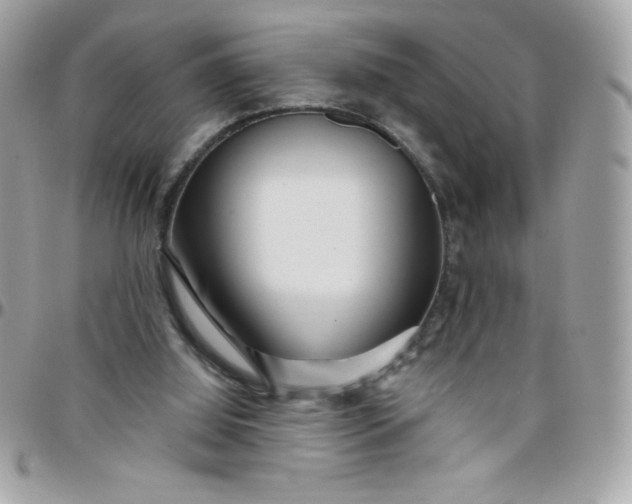 X0000097750060200803211701