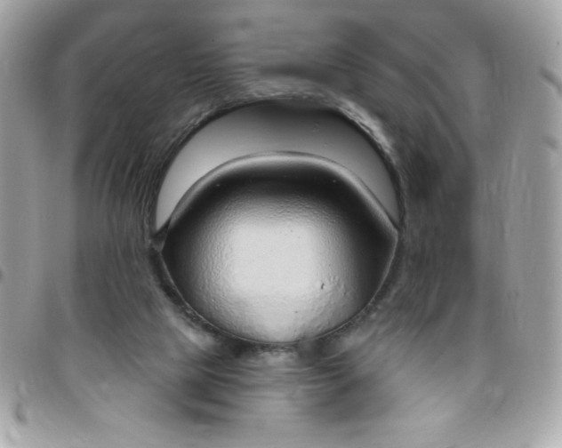 X0000097750065200803211701