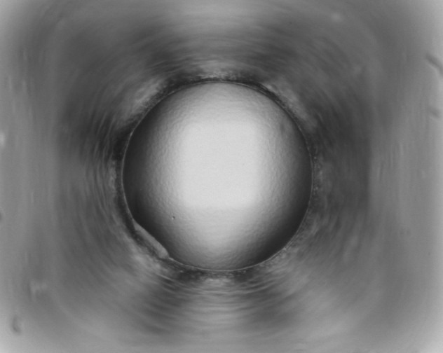 X0000097750066200803211701