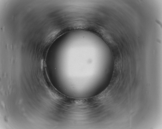 X0000097750070200803211701