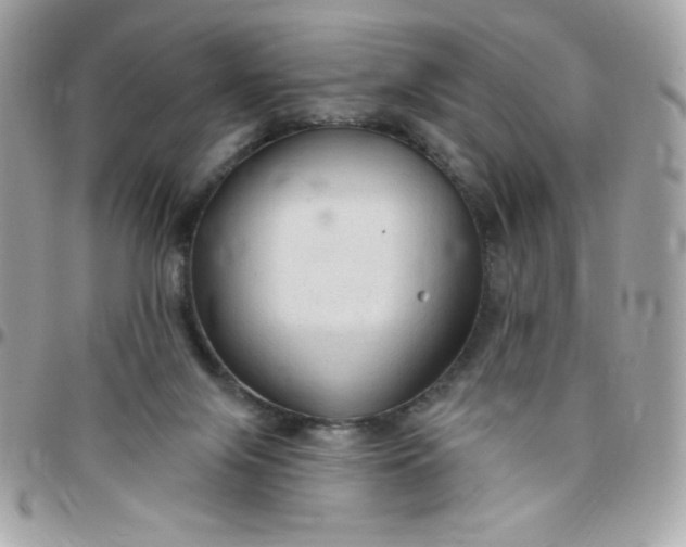 X0000097750071200803211701