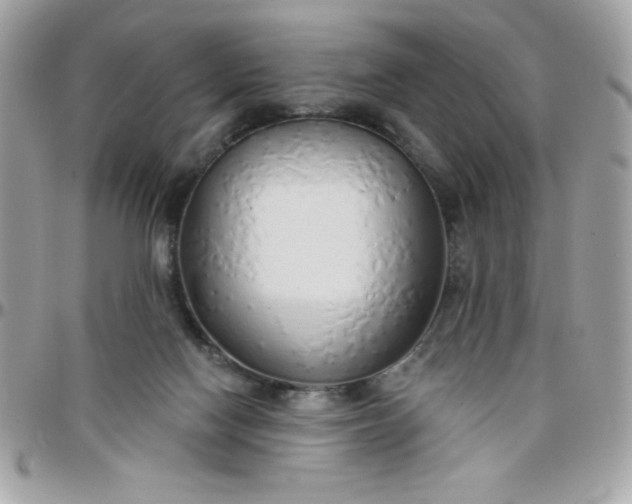 X0000097750074200803211701