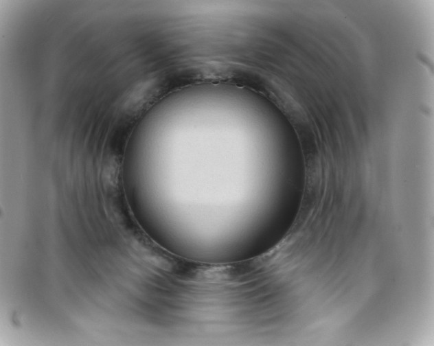 X0000097750078200803211701