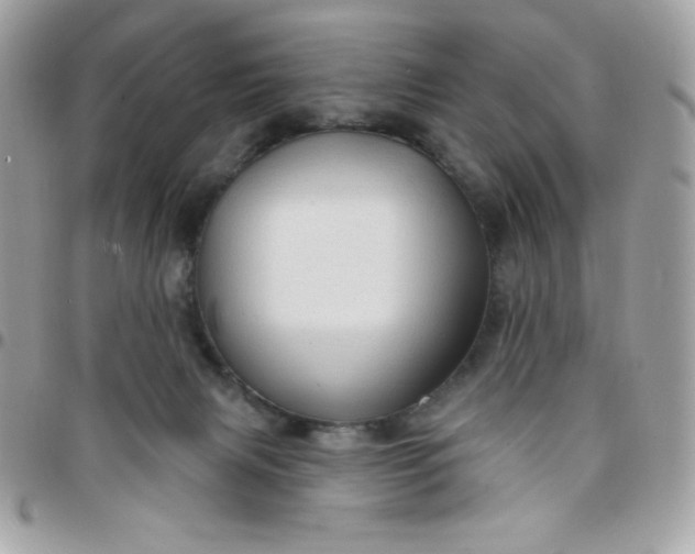 X0000097750079200803211701