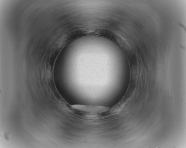 X0000097750085200803211701