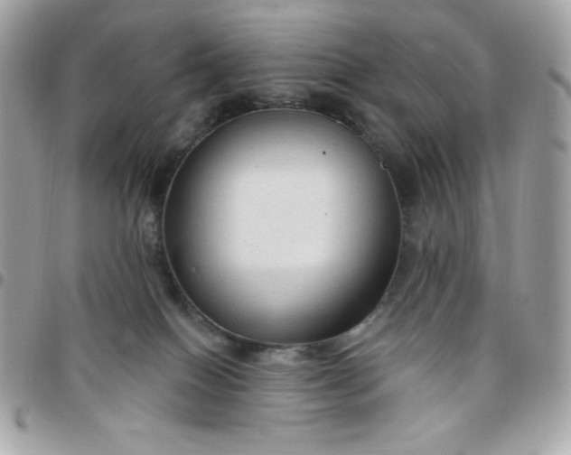 X0000097750086200803211701