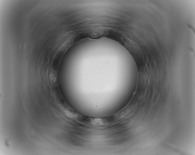 X0000097750091200803211701