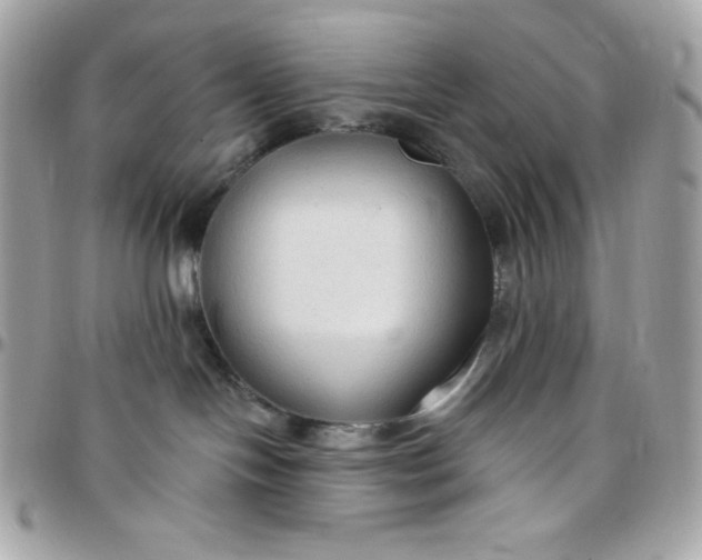 X0000097750094200803211701