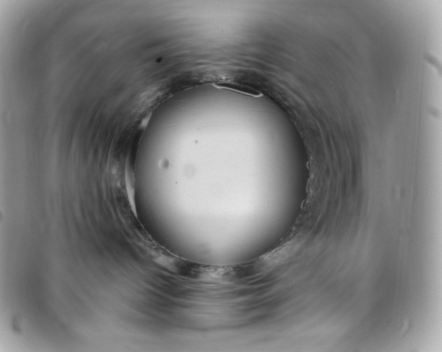 X0000097750096200803211702