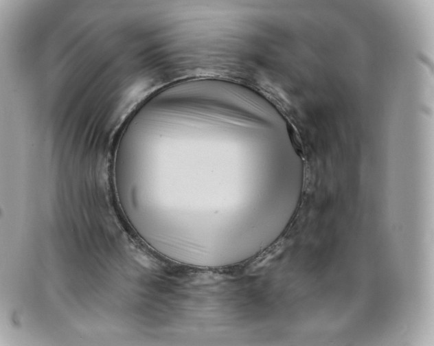 X0000097750098200803211701