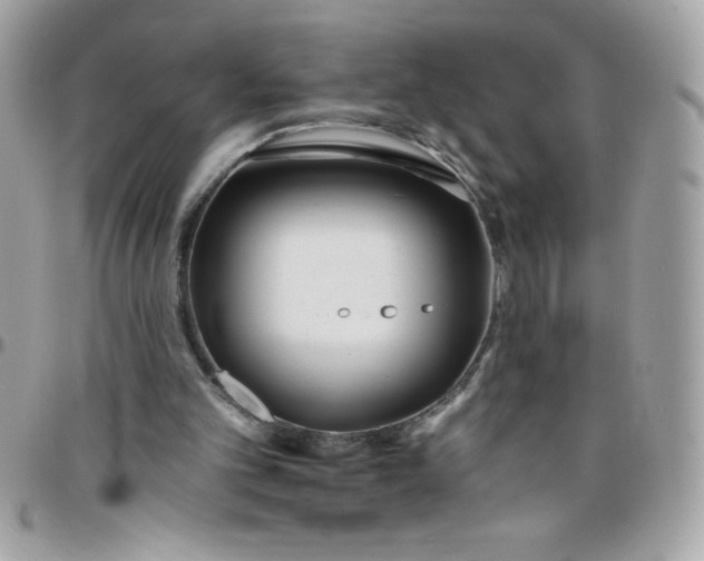 X0000097750101200803211701