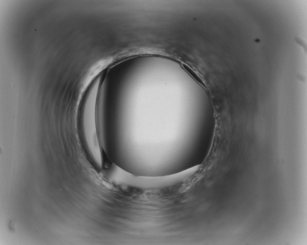 X0000097750104200803211701