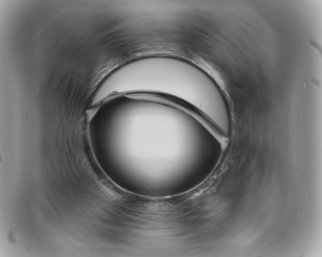 X0000097750105200803211701