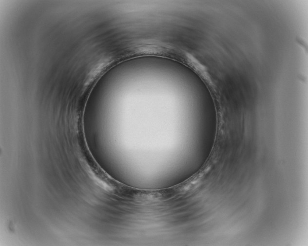 X0000097750106200803211701