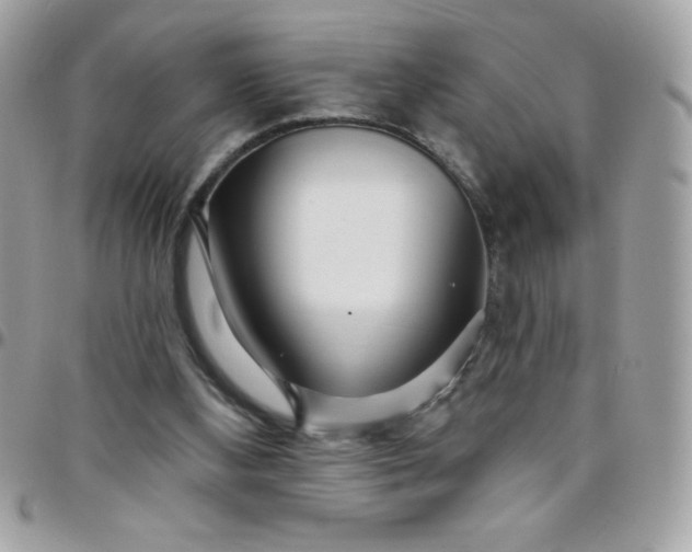 X0000097750108200803211701