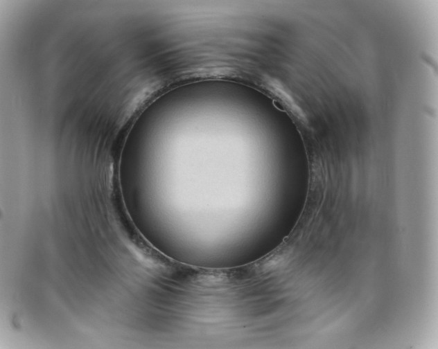 X0000097750110200803211700