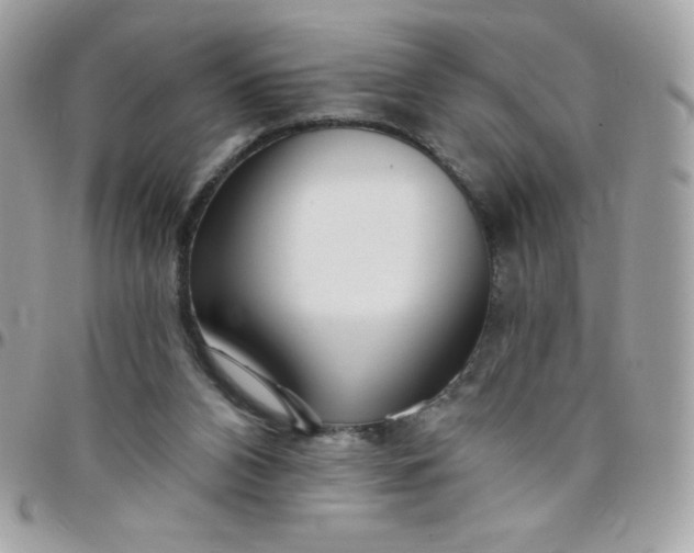 X0000097750112200803211700