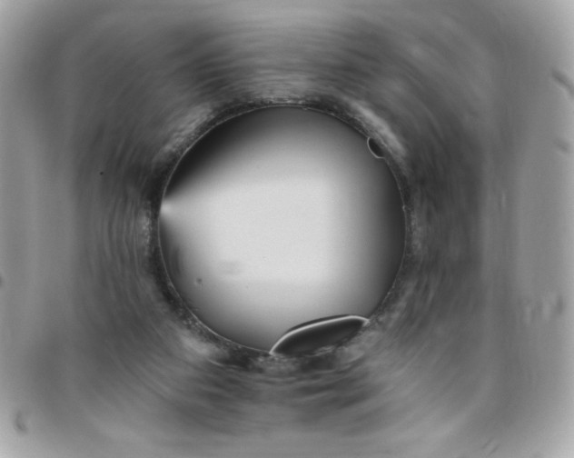 X0000097750113200803211700