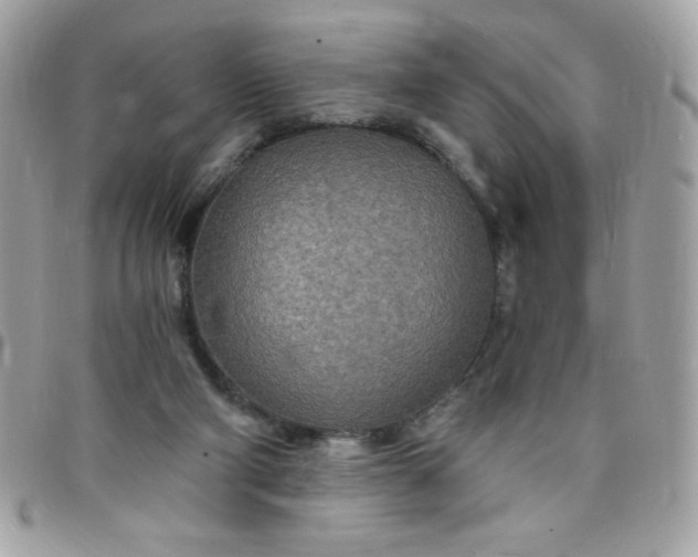 X0000097750114200803211700