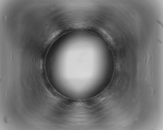 X0000097750115200803211700