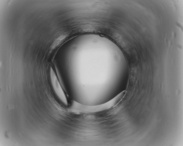 X0000097750116200803211700