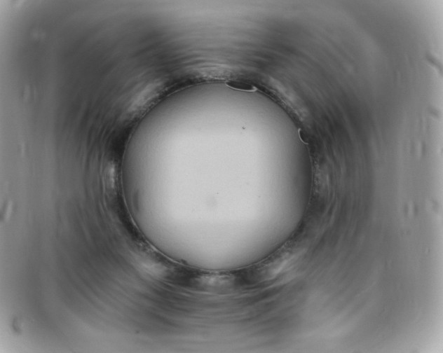 X0000097750117200803211700