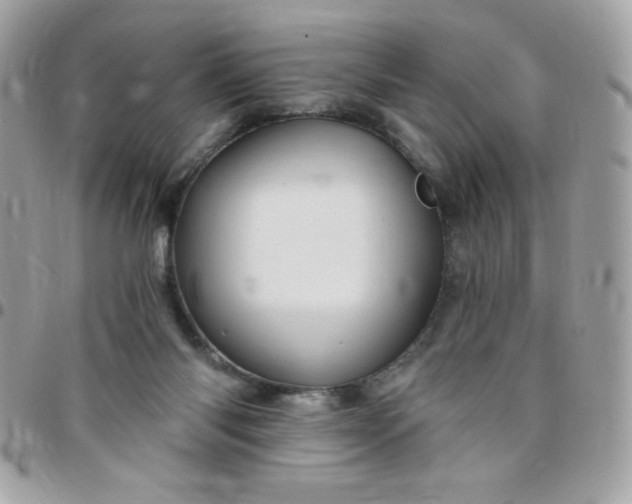 X0000097750118200803211700