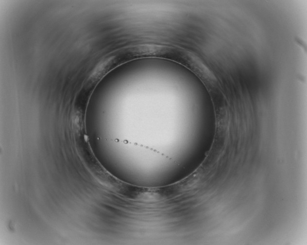 X0000097750119200803211700