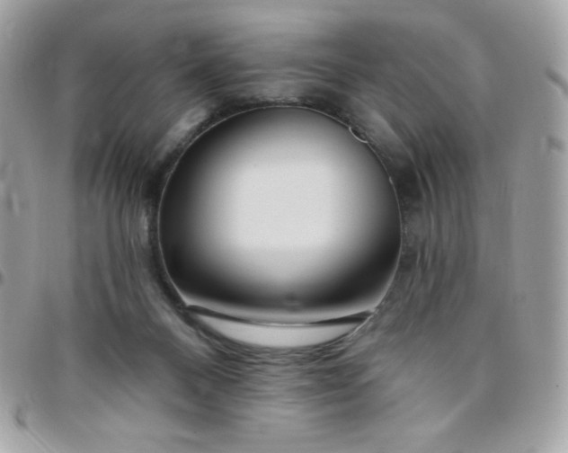 X0000097750120200803211700