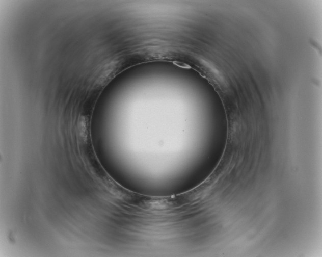 X0000097750121200803211700