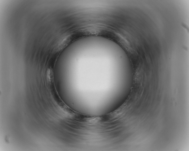 X0000097750122200803211700