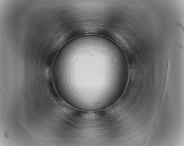 X0000097750123200803211700