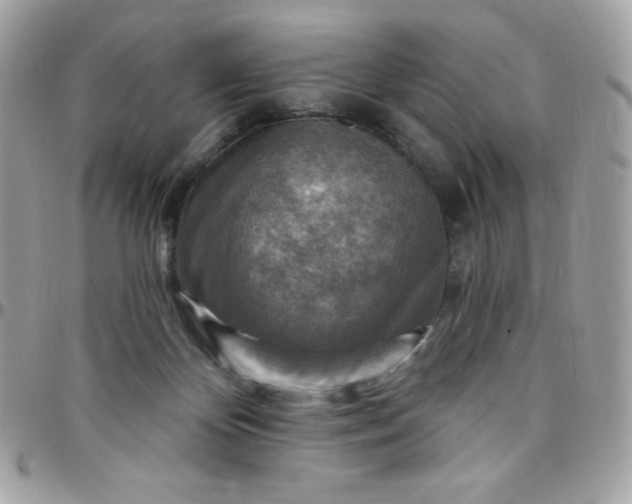 X0000097750124200803211700