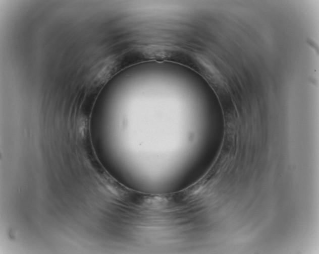 X0000097750125200803211700