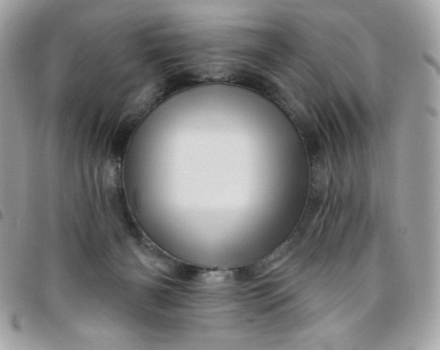 X0000097750126200803211700