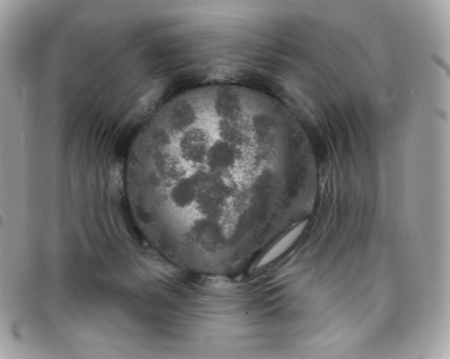 X0000097750127200803211700