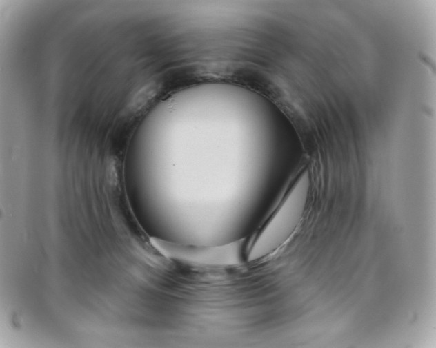 X0000097750128200803211700