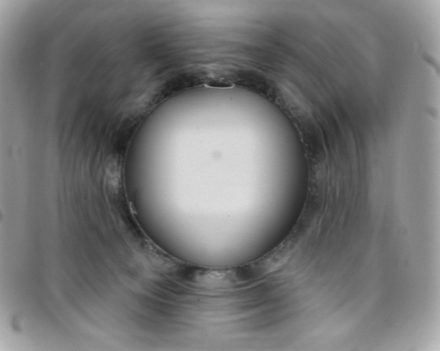 X0000097750129200803211700