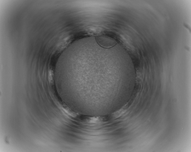 X0000097750130200803211700