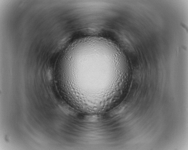 X0000097750131200803211700