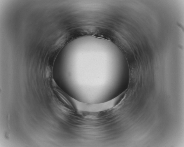 X0000097750132200803211700