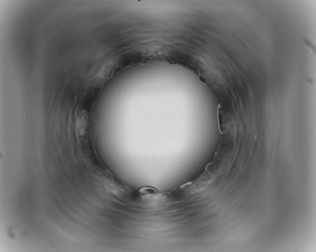 X0000097750133200803211700