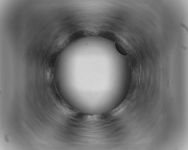 X0000097750134200803211700