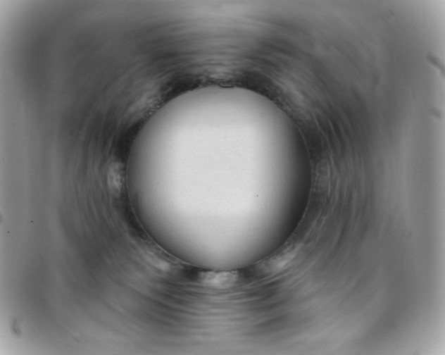 X0000097750135200803211700